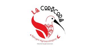 Ecolodge La Corocora - Monterrey - 1