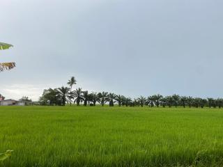 Jenahak Studio Ban Pecah - Tanjung Piandang - 6