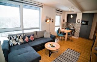 Apartman Sofija 48 - Zlatibor - 3