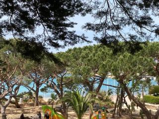 Les Pins - Saint-Cyr-sur-Mer - 0