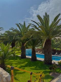 Rio Lindo Ecolodge - 3