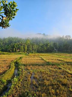 Rainforest view villas & Tours - Matara - 5