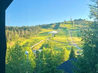 Aurora by the Slopes, ski in, hike & xc-ski tracks, spectacular Views, sauna, wifi - 9
