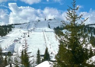 Aurora by the Slopes, ski in, hike & xc-ski tracks, spectacular Views, sauna, wifi - Ruka - 9