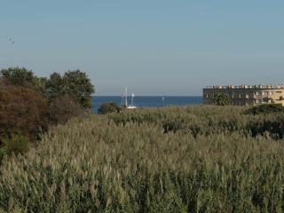 Appartement T2 avec piscine, climatisation et parking, à 700m de la plage - FR-1-803-21 - Le Lavandou - 2