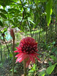 Appartement paisible avec jardin - 6