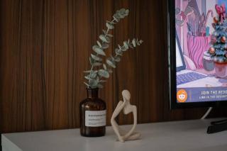 Comfy & Cozy Studio Apartment - George Town - 7