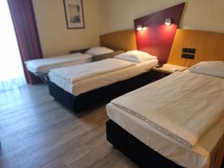 Arvena Park Hotel - Nuremberg - 9