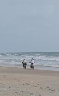 Eden Garden Tujereng - 0