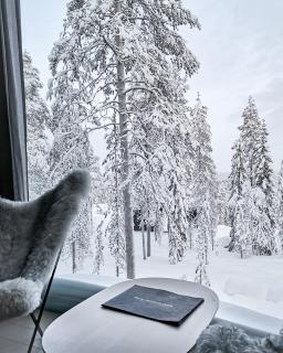 Arctic TreeHouse Hotel - Rovaniemi - 6