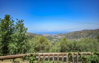 Pet Friendly Home In Laureana Cilento - Laureana Cilento - 4
