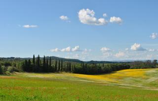 Amazing Home In Monteroni Darbia - Monteroni dʼArbia - 2