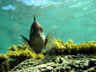 Studio Terre-Sainte, Lit Rond et Spa - 8