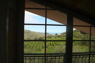 Agriturismo Ada Musso ss - Diano Borello - 9