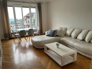 6 minutes walking from the Lausanne train station 2 rooms Apartment - Losanna - 3