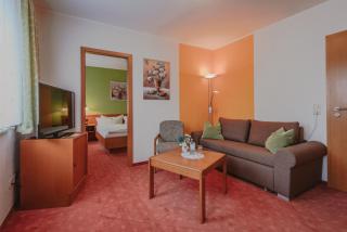 Hotel Berglandstübel - Hammerbrücke - 7