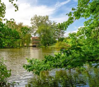 Superbe maison sur pilotis - 0