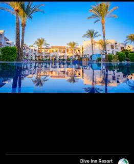 دايف إن ريزورت - Sharm el Sheikh - 8