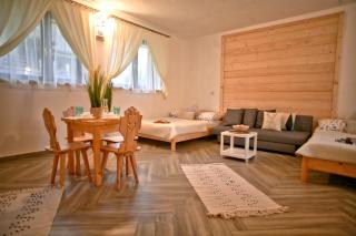 Willa Przy Skoczni - 4