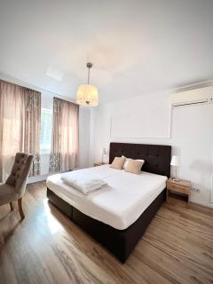 Armonia Apartments - Timişoara - 6