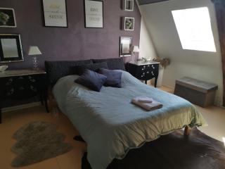 Appartement spacieux Douai - Douai - 3