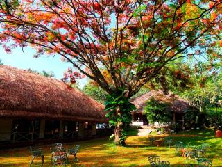 Spice Village Thekkady - A CGH Earth Experience - Thekkady - 3