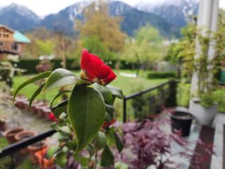 Premier Pahalgam - Pahalgām - 5
