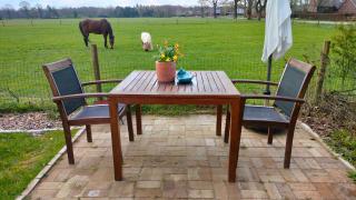 Bed and Breakfast Hammerhoeve - Lunteren - 8