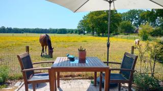 Bed and Breakfast Hammerhoeve - Lunteren - 9