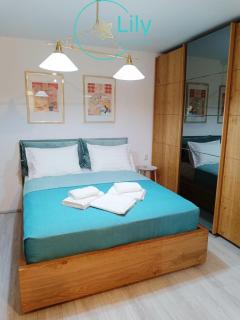 Lily Boutique Apartment - 8