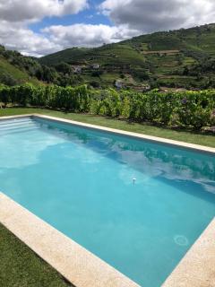 Quinta do Enxertado - Vila Real - 9