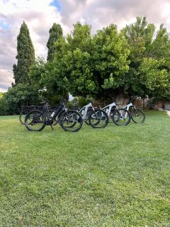 Tenuta Coppa Zuccari - Citta' Sant'Angelo - 5