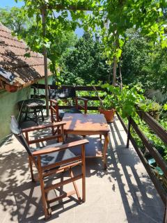 Garden ROOM - Novi Sad - 6