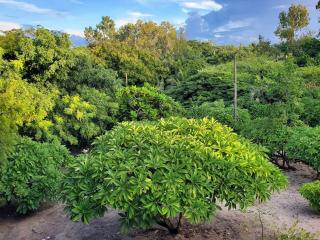 Villa entière en bord de mer pouvant accueillir 16 personnes - 9