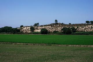 Herdade de Montalvo - Comporta - 4