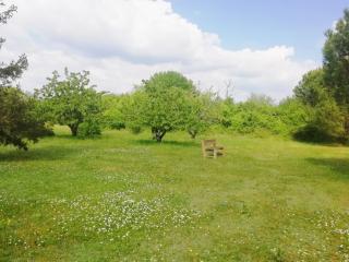 Location Bernadas sur paradise-location-maison - Montaigu-de-Quercy - 5