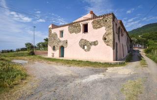 1 Bedroom Cozy Home In Longobardi - Longobardi - 6