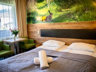 Góral Spa&Wellness - Szczyrk - 2