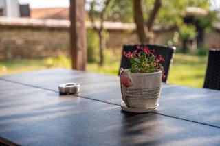 Stella Guesthouse - Arbanasi - 5