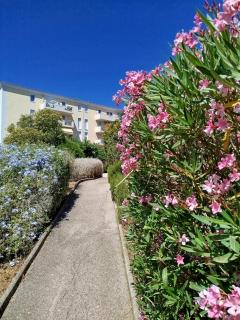 Jasmin - Hyères - 0