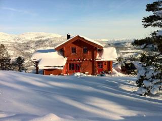 Weitblicken - Cosy Holiday Home with stunning views - Vradal - 7