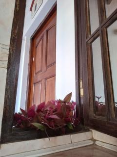 Monoambiente Blanca - 4