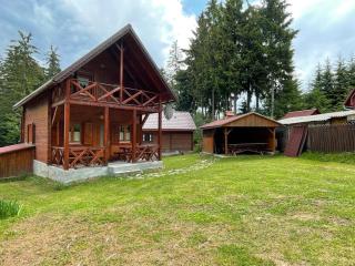 Forest Guest House - Sîntimbru-Băi - 0