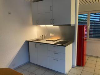 2- Zimmerwohnung-Duplex - Lohn-Ammannsegg - 3