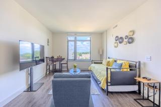 DT 2BR 2BA Luxe Suite Walkable Gym Pool Parking - Silver Spring - 0