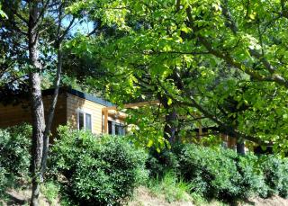 Camping Paradiso - 6