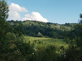 Casa Adela - Telega - 4