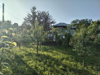 Casa Adela - Telega - 1