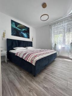 Neptun Residence Free Private Parking - Timişoara - 3