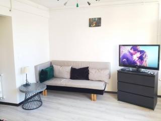 Cozy flat with balcony, very close to galata tower - Istambul - 0